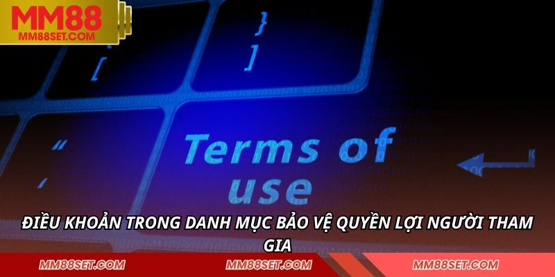 Điều khoản trong danh mục bảo vệ quyền lợi người tham gia