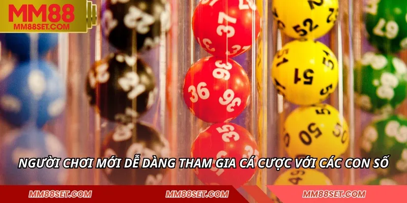 Người chơi mới dễ dàng tham gia cá cược với các con số